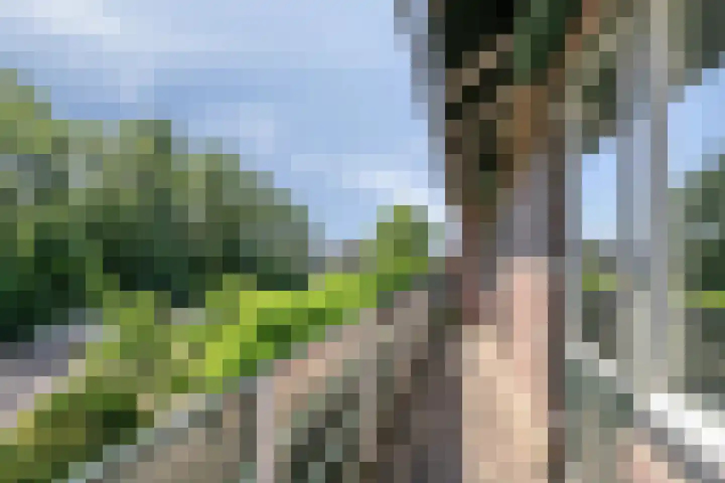 Bedrijfsstraat 5 Zuid-Beijerland thumbnail 32