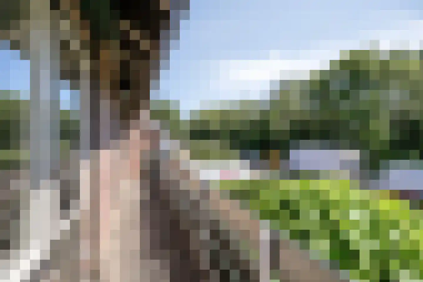 Bedrijfsstraat 5 Zuid-Beijerland thumbnail 33