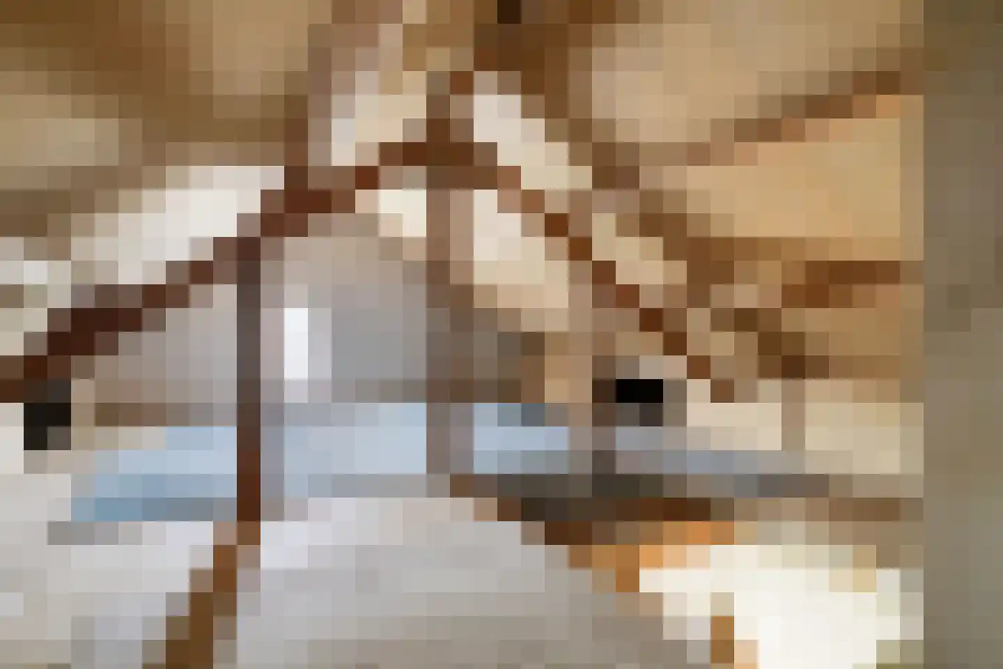 Bedrijfsstraat 5 Zuid-Beijerland thumbnail 40
