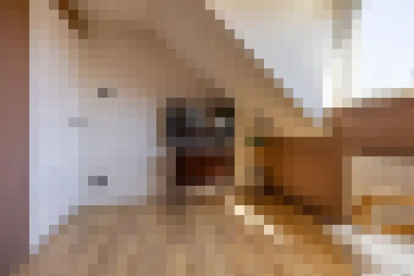 Bedumerstraat 112 Groningen thumbnail 22