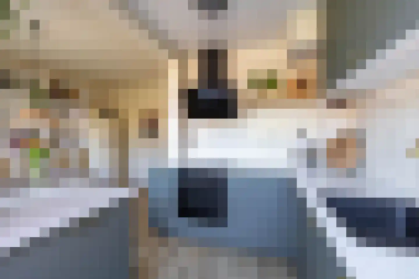 Bedumerstraat 112 Groningen thumbnail 7