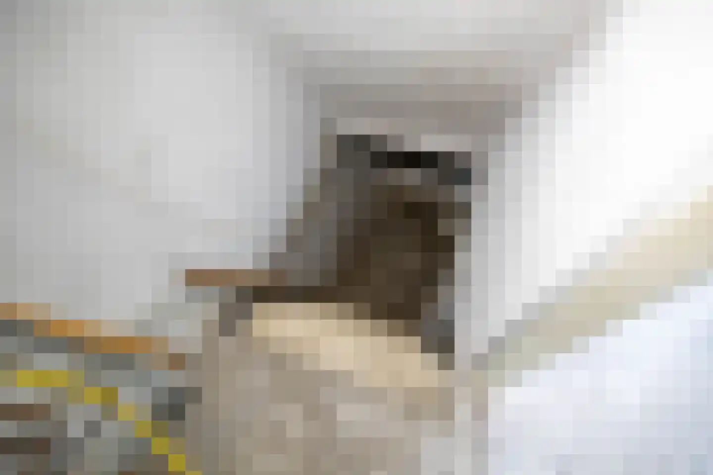 Bedumerstraat 187 Groningen thumbnail 18