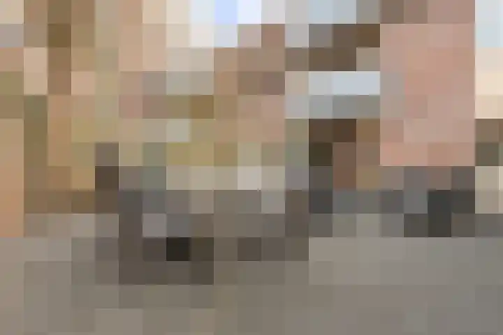 Bedumerstraat 24 Groningen thumbnail 33