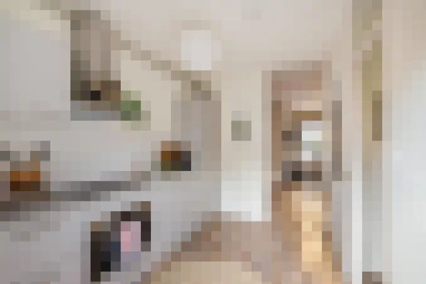 Bedumerstraat 25 Groningen thumbnail 21