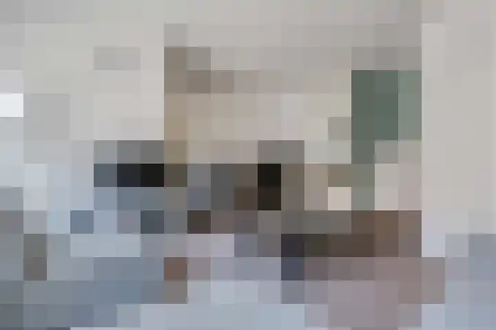 Bedumerstraat 27 Groningen thumbnail 10