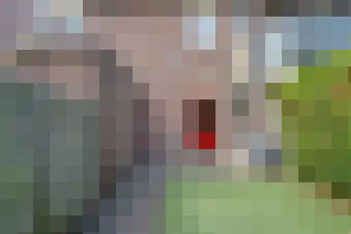 Bedumerstraat 27 Groningen thumbnail 19