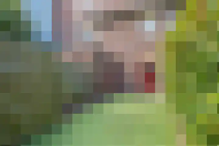 Bedumerstraat 27 Groningen thumbnail 20