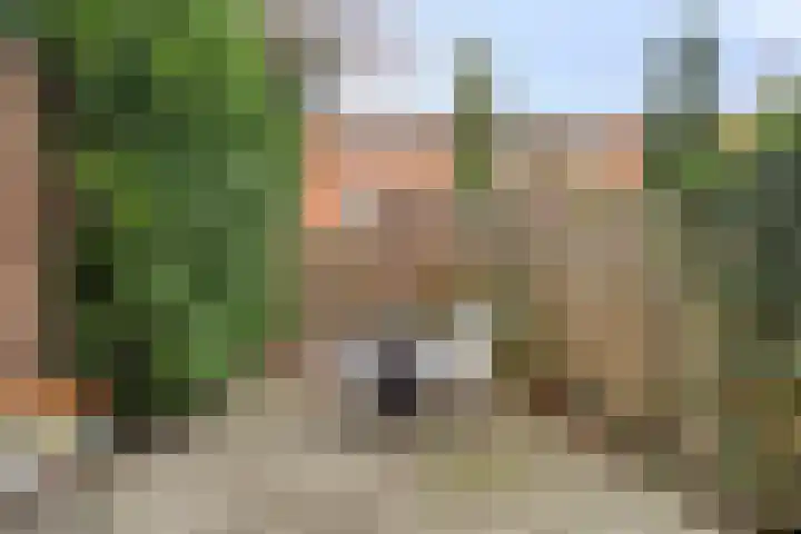 Bedumerstraat 28 Groningen thumbnail 26