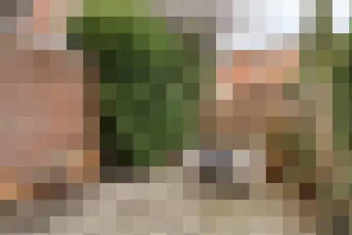 Bedumerstraat 28 Groningen thumbnail 27