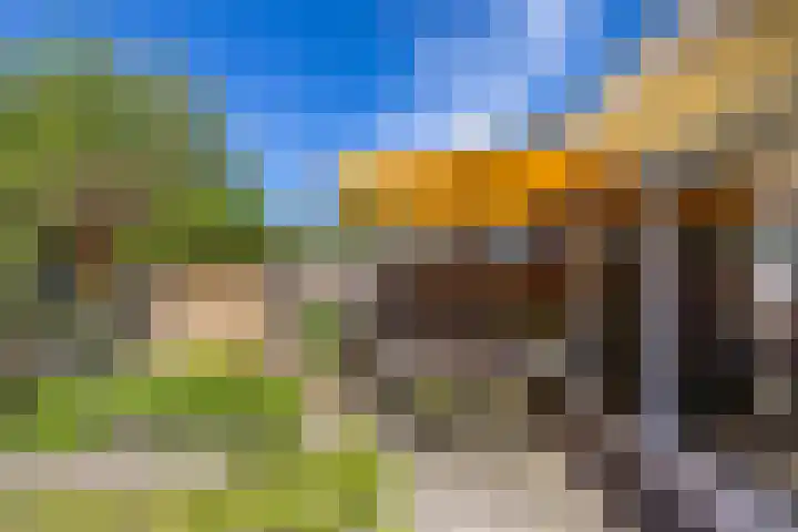 Bedumerstraat 36 Groningen thumbnail 24