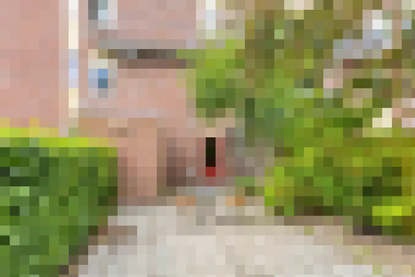 Bedumerstraat 5 Groningen thumbnail 27
