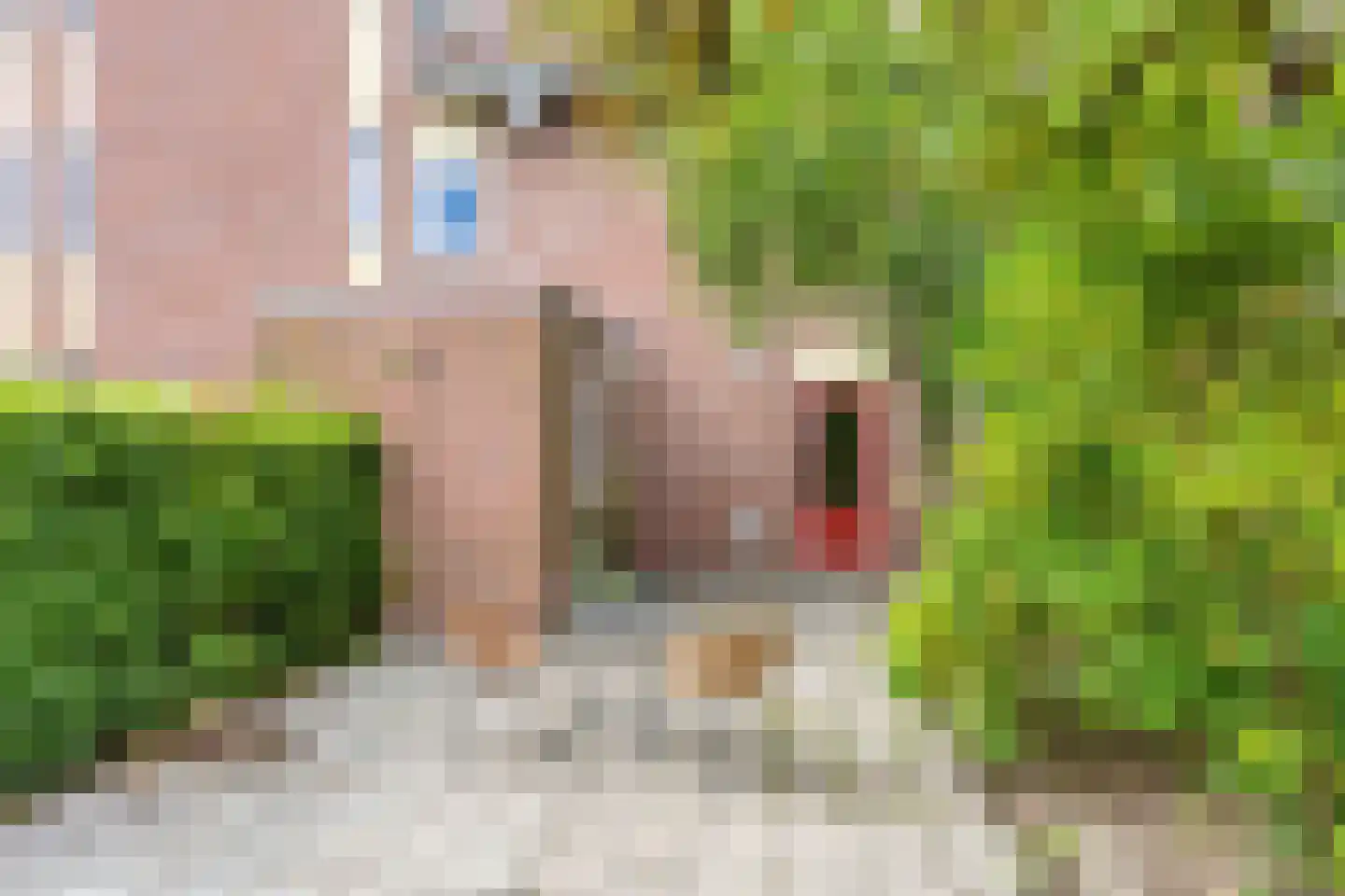 Bedumerstraat 5 Groningen thumbnail 28