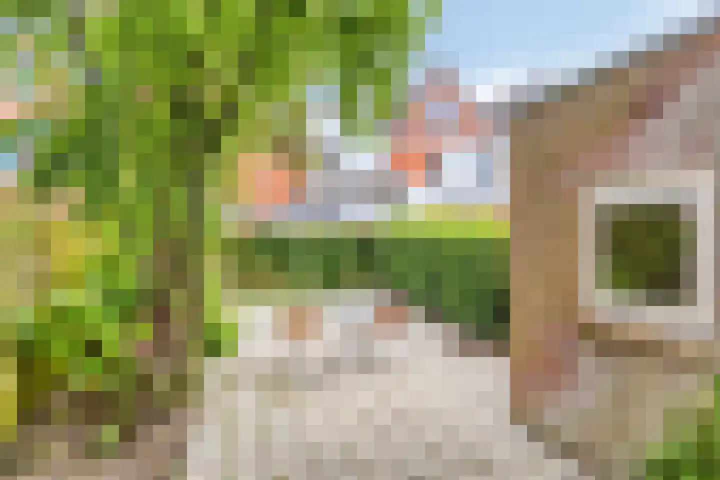 Bedumerstraat 5 Groningen thumbnail 5