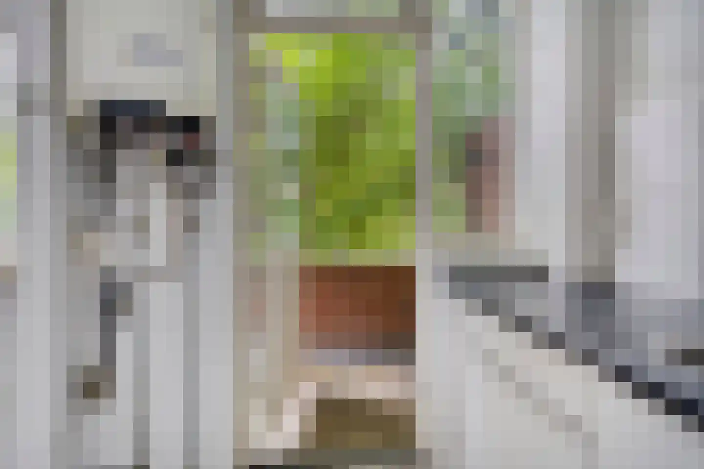 Bedumerstraat 94 Groningen thumbnail 21