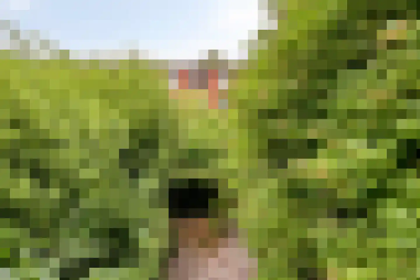 Bedumerstraat 94 Groningen thumbnail 24