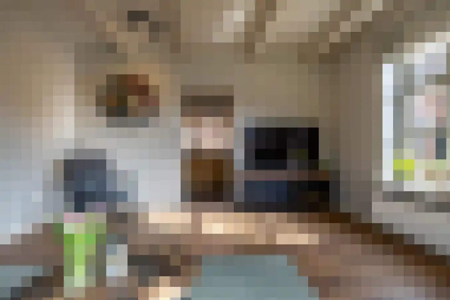 Bedumerweg 21 Onderdendam thumbnail 20