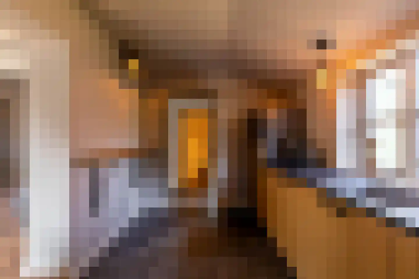 Bedumerweg 21 Onderdendam thumbnail 25