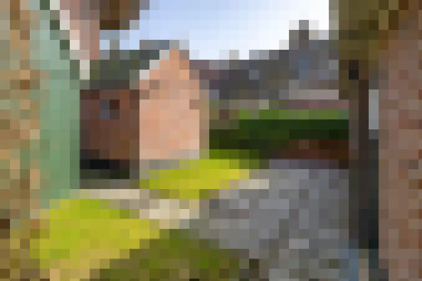 Bedumerweg 21 Onderdendam thumbnail 42
