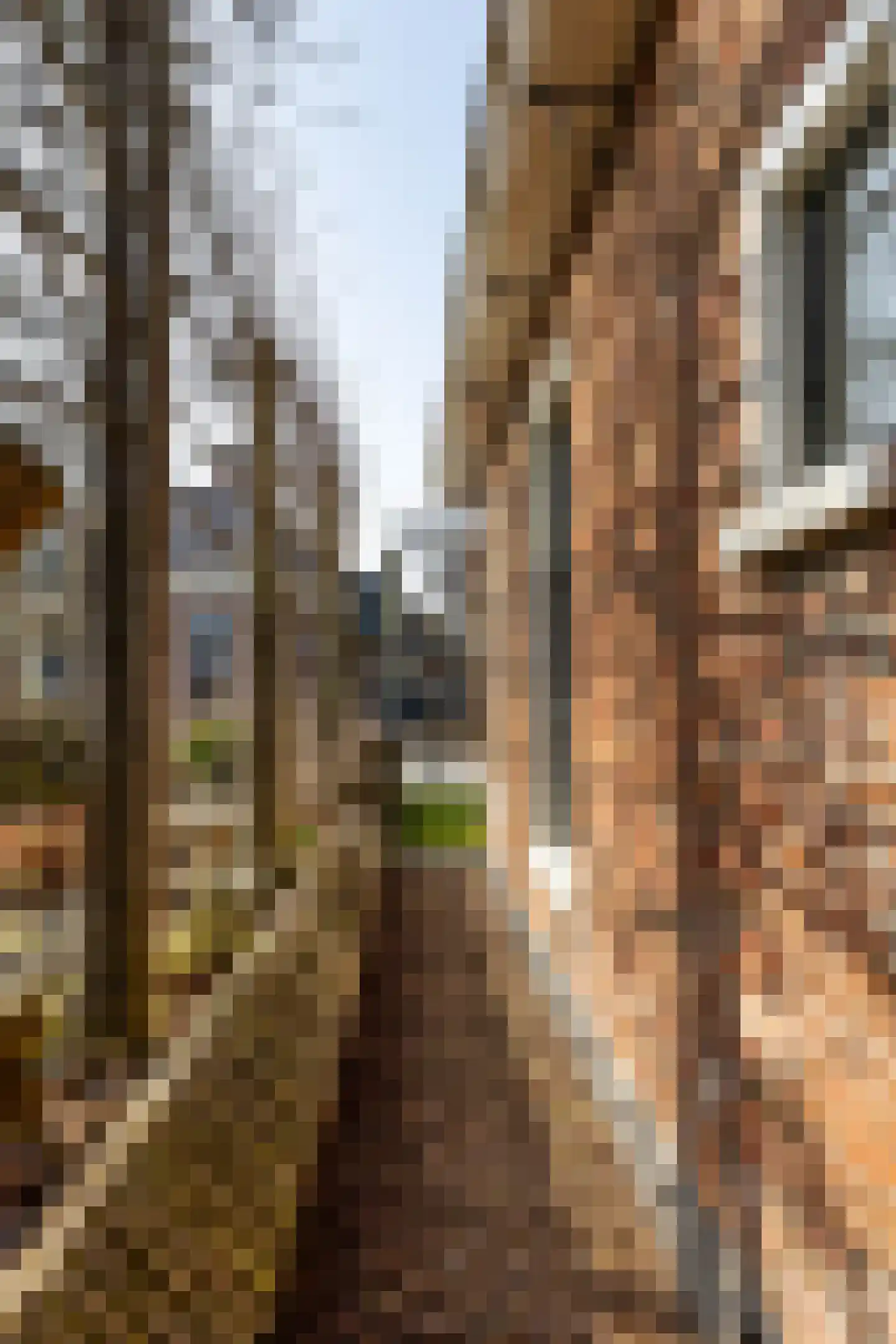 Bedumerweg 21 Onderdendam thumbnail 46