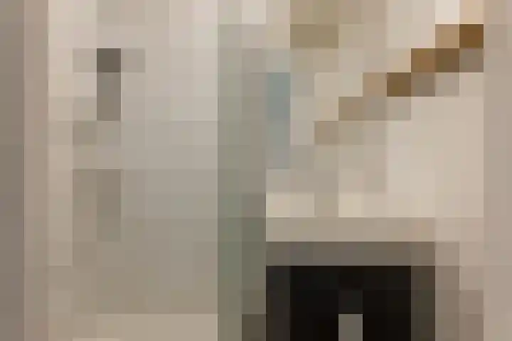 Bedumerweg 22 Groningen thumbnail 15