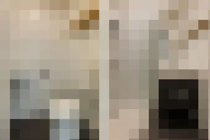 Bedumerweg 22 Groningen thumbnail 16