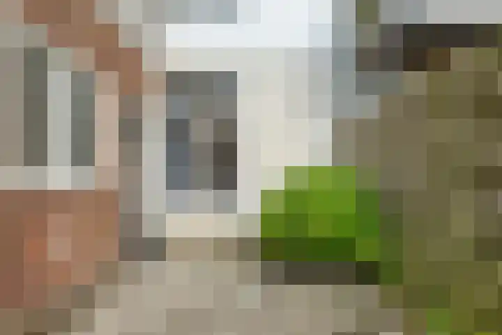 Bedumerweg 22 Groningen thumbnail 18
