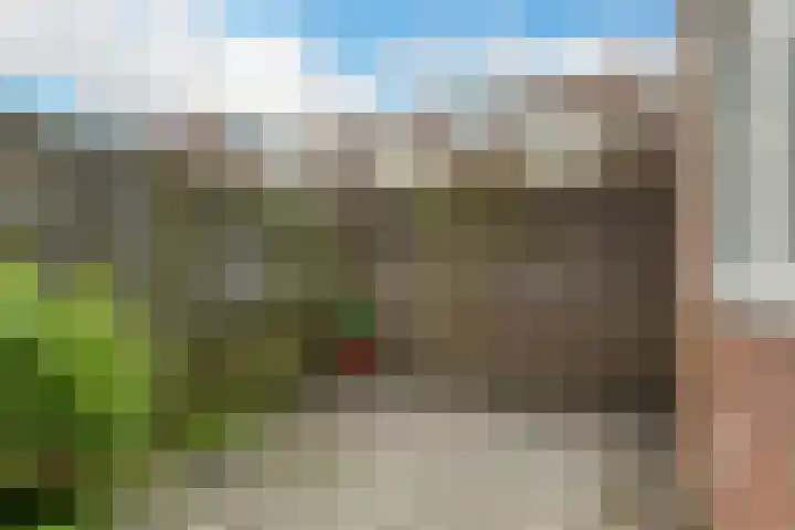 Bedumerweg 22 Groningen thumbnail 5