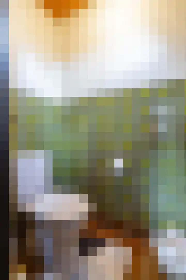 Bedumerweg 25 Stedum thumbnail 11