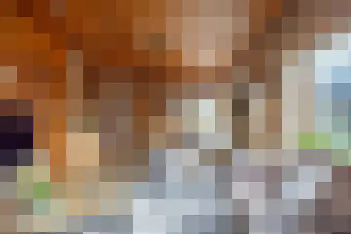 Bedumerweg 25 Stedum thumbnail 16