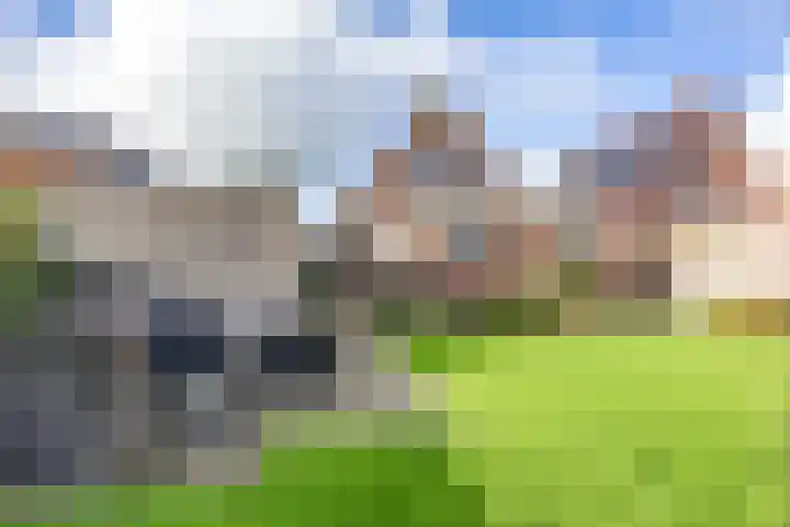 Bedumerweg 25 Stedum thumbnail 39