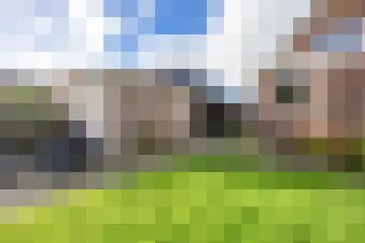 Bedumerweg 25 Stedum thumbnail 41