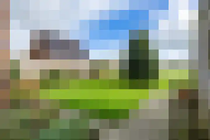 Bedumerweg 25 Stedum thumbnail 42