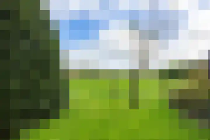 Bedumerweg 25 Stedum thumbnail 43