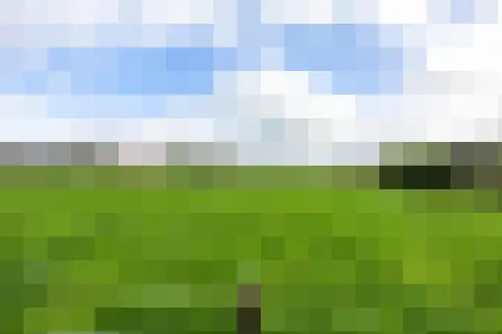 Bedumerweg 25 Stedum thumbnail 44