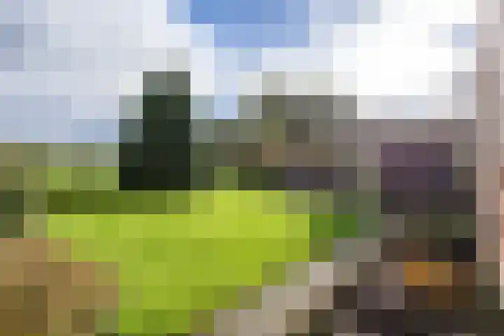 Bedumerweg 25 Stedum thumbnail 45