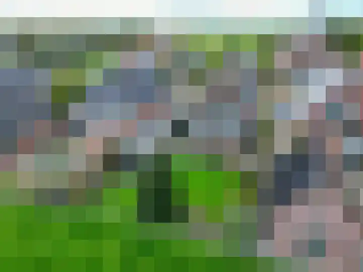 Bedumerweg 25 Stedum thumbnail 8