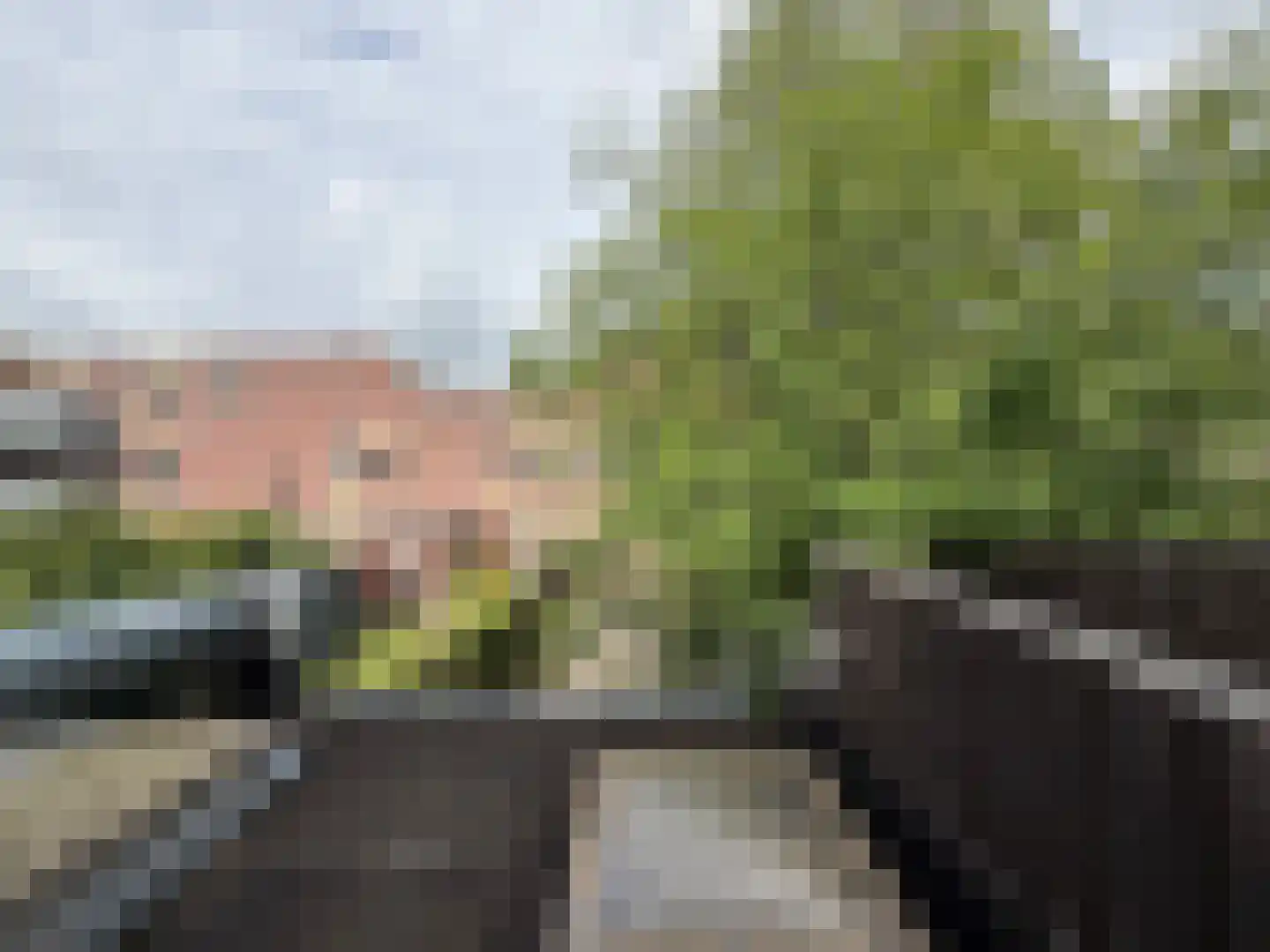 Bedumerweg 26 a Groningen thumbnail 10