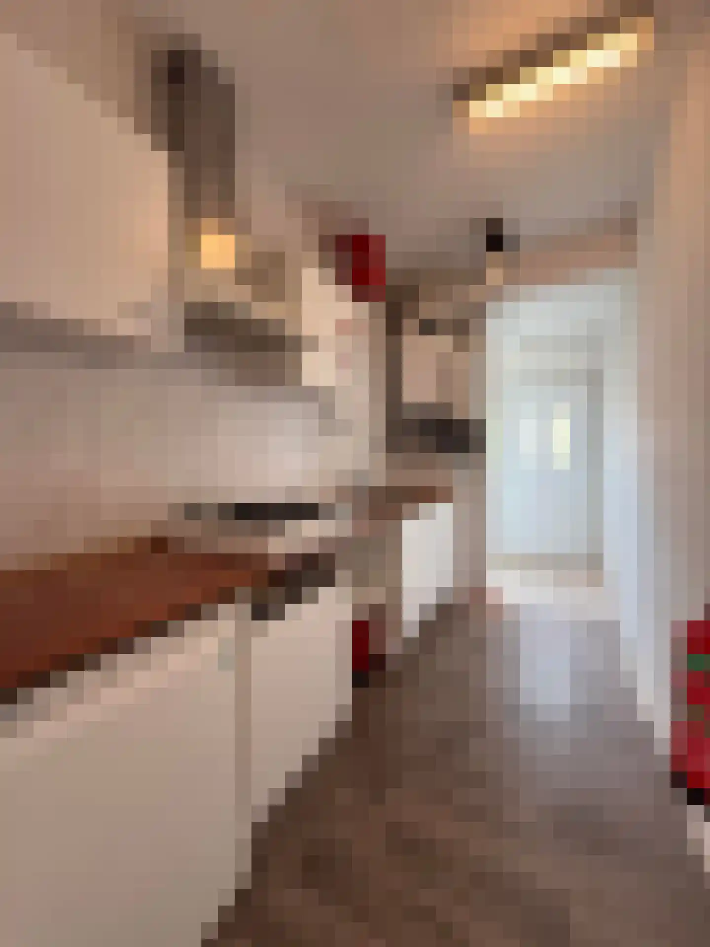 Bedumerweg 26 a Groningen thumbnail 6