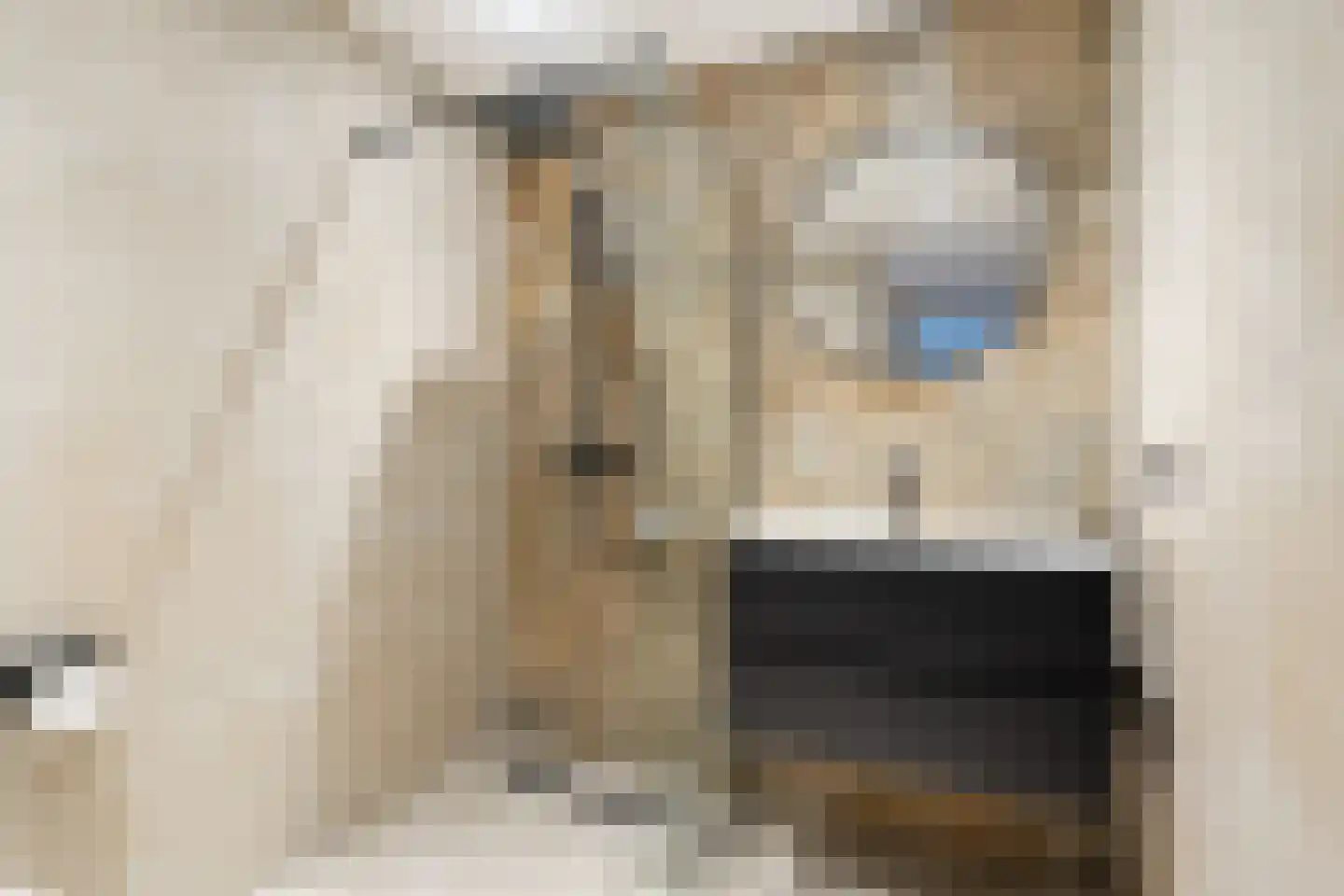 Bedumerweg 28 Groningen thumbnail 15