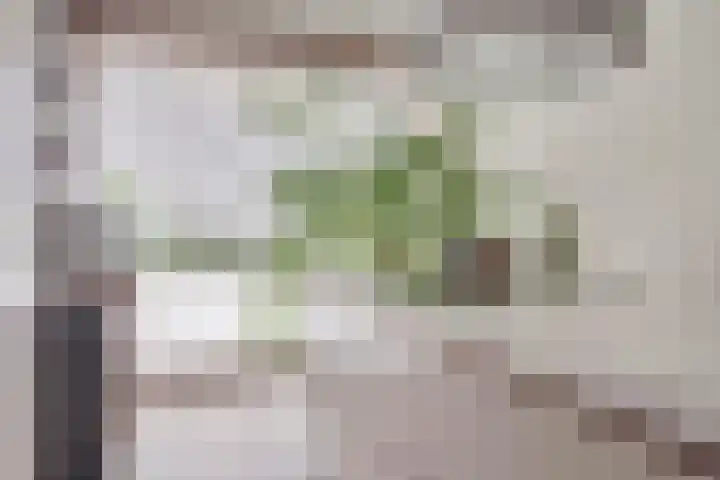 Beeckendael 11 's-Hertogenbosch thumbnail 11
