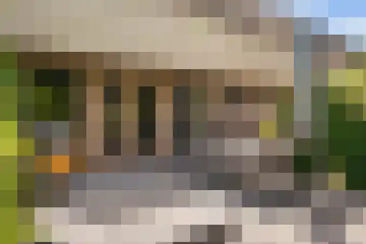Beeckendael 11 's-Hertogenbosch thumbnail 15