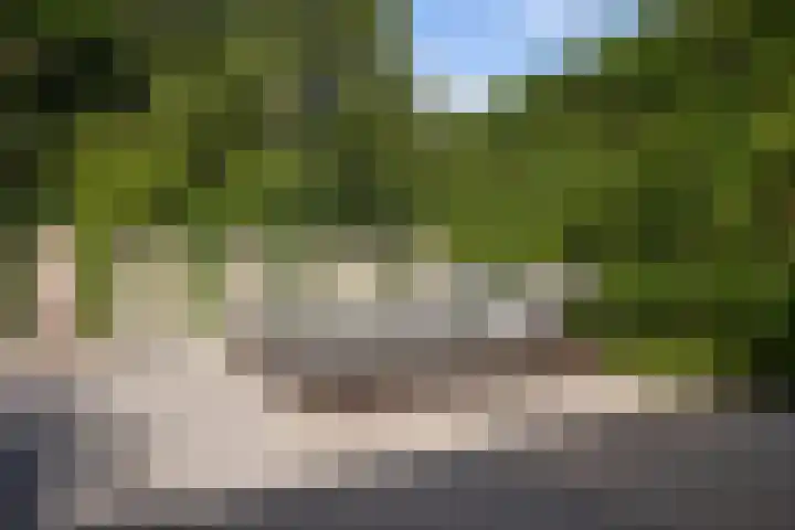 Beeckendael 11 's-Hertogenbosch thumbnail 19