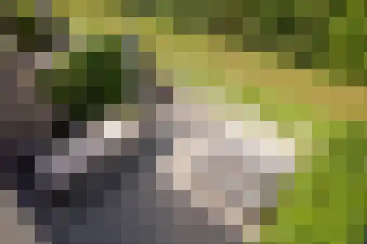 Beeckendael 11 's-Hertogenbosch thumbnail 20