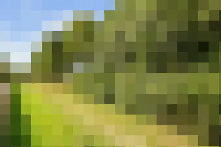 Beeckendael 11 's-Hertogenbosch thumbnail 21