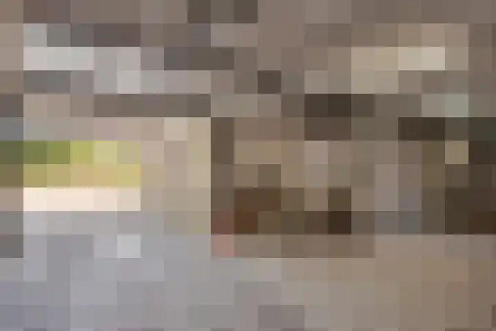 Beeckendael 11 's-Hertogenbosch thumbnail 52