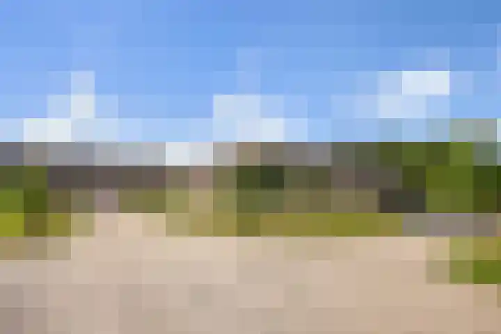 Beeckendael 11 's-Hertogenbosch thumbnail 54