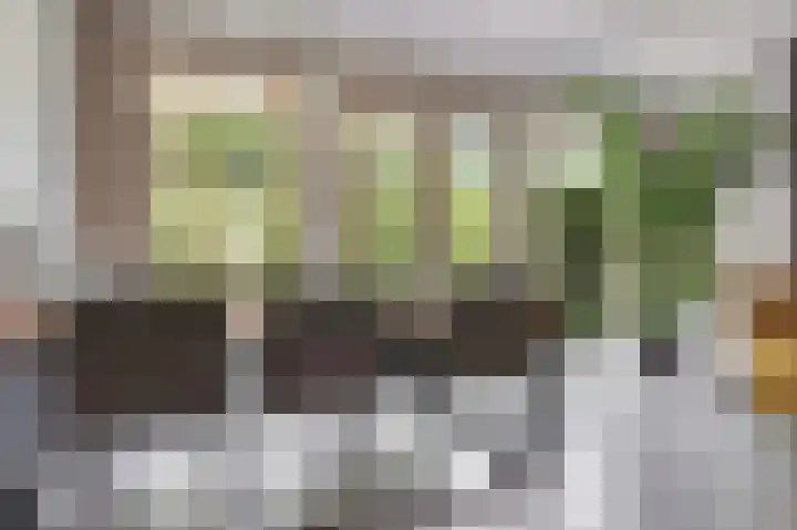 Beeckendael 11 's-Hertogenbosch thumbnail 6