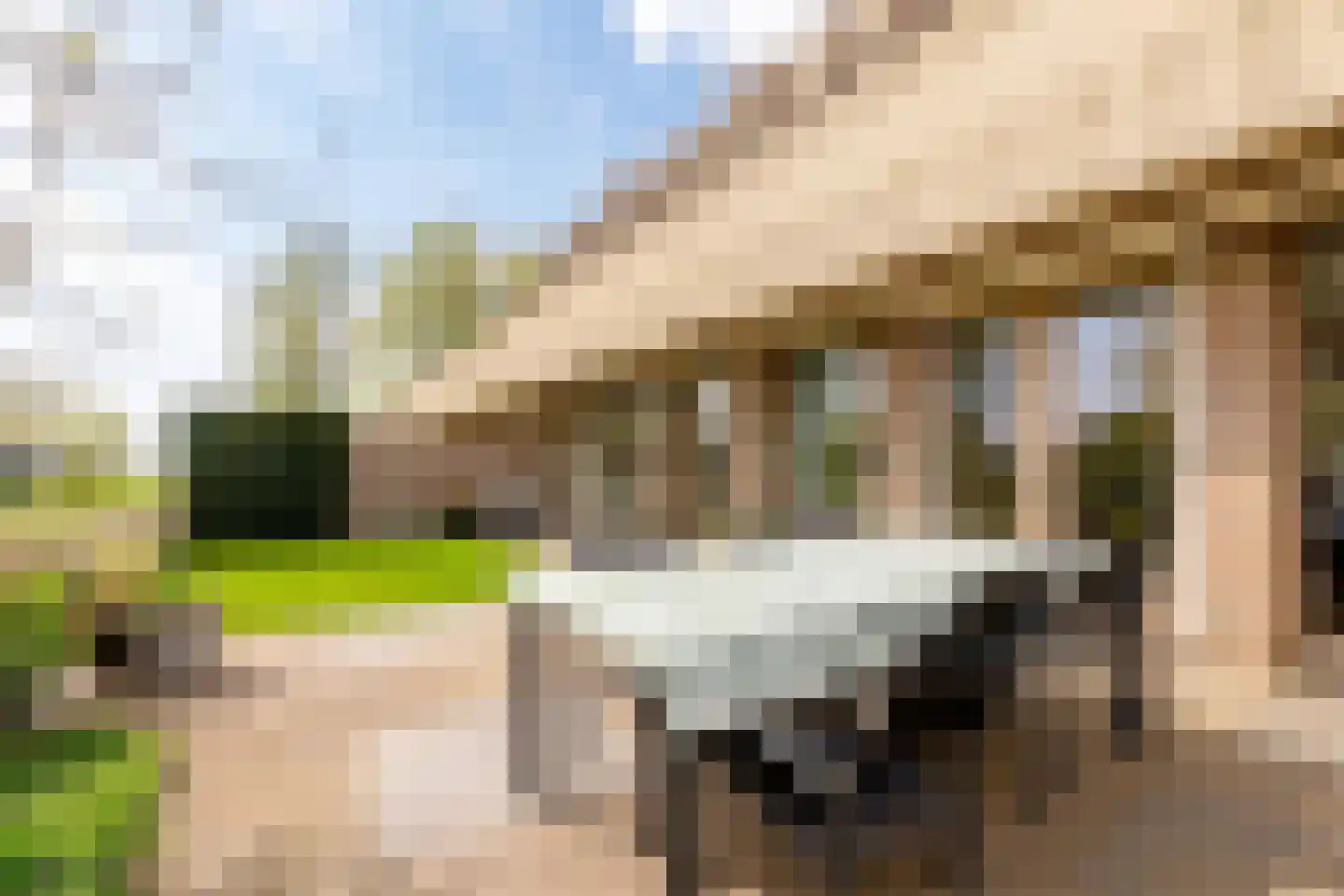 Beeckendael 26 's-Hertogenbosch thumbnail 10