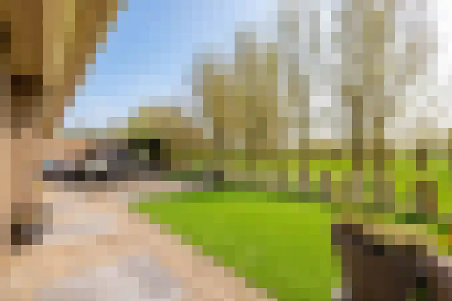 Beeckendael 26 's-Hertogenbosch thumbnail 11