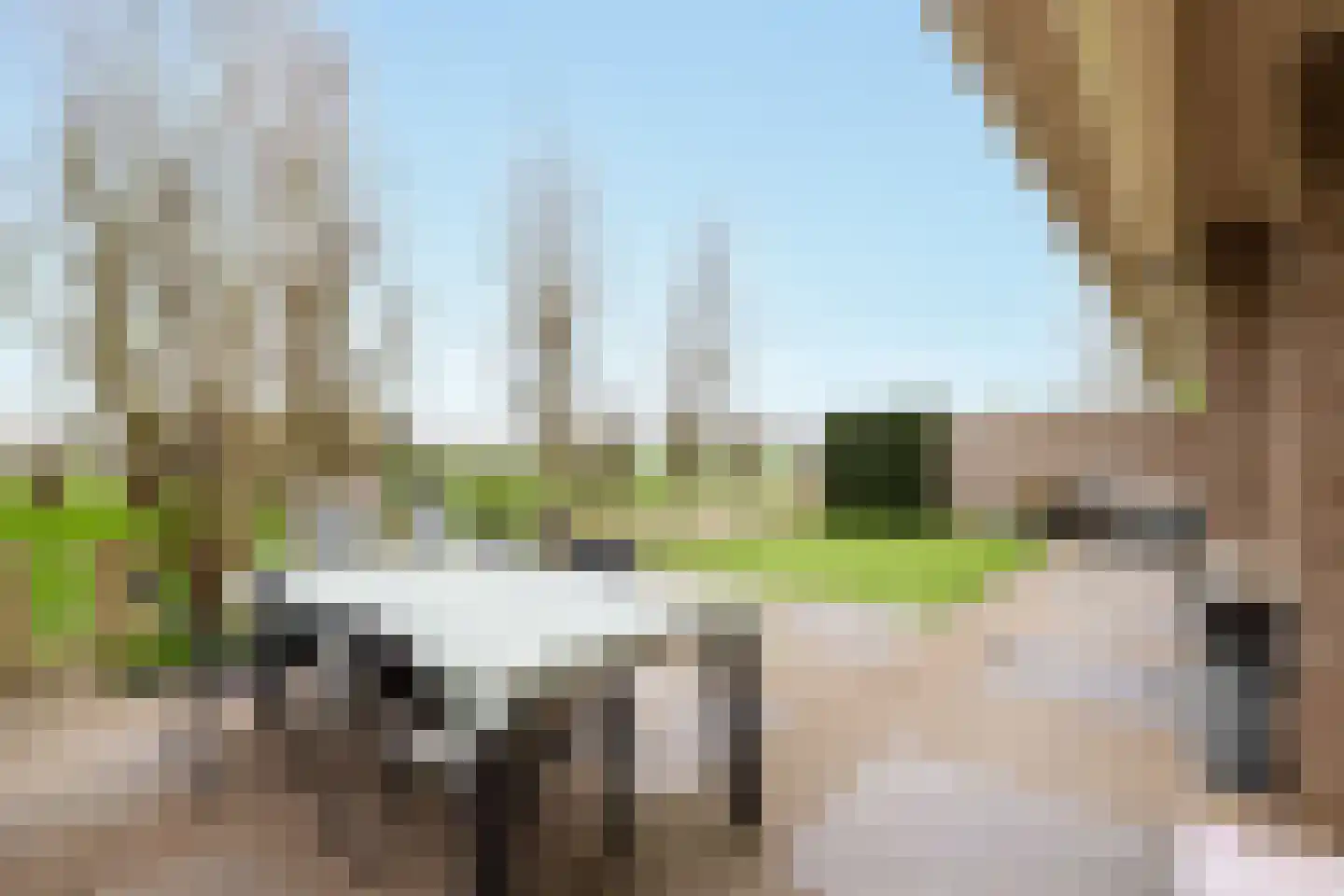 Beeckendael 26 's-Hertogenbosch thumbnail 12